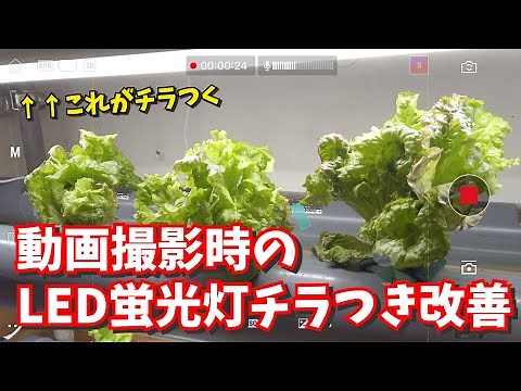 動画撮影でLEDや蛍光灯チカチカとチラつくのを改善！Hz、フレームレート、ISOを調整しましょう【Osmo Pocket】【フリッカー現象】
