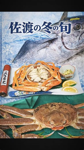 SADO RESORT HOTEL AZUMA on Instagram: "冬の佐渡は、海鮮が最も美味しい季節📍❄️🐟 佐渡テレビで放送された 300キロ超のクロマグロのような大魚も、 今ならAZUMAでお楽しみいただけます。 この冬だけの特別な味わいを、HOTEL AZUMAでどうぞ☺♪ #佐渡の冬 #佐渡海鮮料理 #sadoresort_hotelazuma #佐渡島観光"