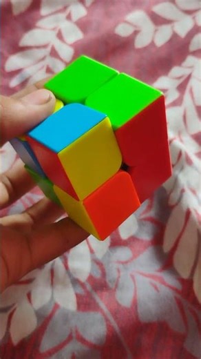 step by step 2 by 2 solving