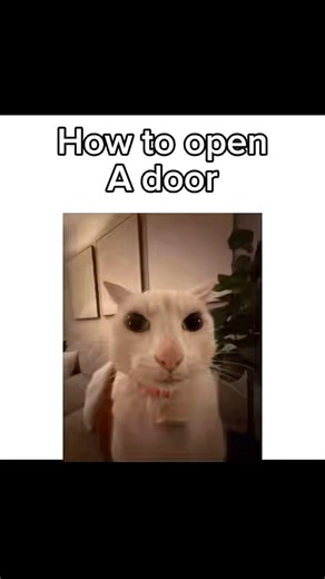 How to open a door! (Tutorial) [Sorry I haven’t posted in a while I was sick guys]