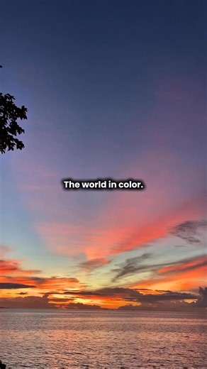 Nature never needed filters. 🍃 Join the movement with The o2 Project www.o2project.org and let the nature guide your healing journey. 👣 Anytime — Anywhere — Just Get Outside! 🍃 #getoutside #getoutsideday2025 #theo2project #Therapy #naturetherapy #wildernesstherapy #outdoortherapy #MentalHealthAwareness #mentalhealthmatters #mentalhealth #mentalhealthsupport #nature #natureheals #healing #healingjourney #healingtherapy #fypviralシ #fypシ゚viralシ #fypシ #outdoors #videoreelsシ #reelsvideo #TheWorldI