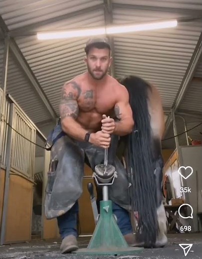 handsome bulge is like a horse