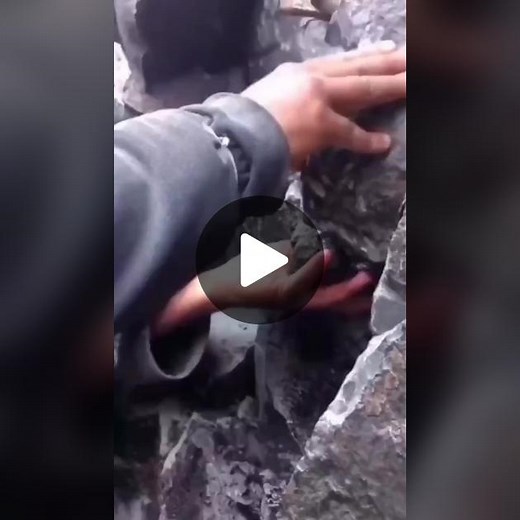 Discovering Amethyst Geodes in Nature