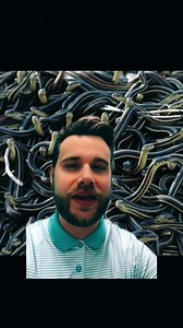 The Infamous “Snake House” of Rexburg, Idaho: A Nightmare Home You Won’t Believe True story. Once upon a time in the tranquil countryside of Rexburg, Idaho, stood a seemingly picture-perfect five-bedroom rural home. Priced at just over $100,000, it appeared to be an incredible deal for anyone looking to settle in this serene corner of the United States. However, the locals knew it as the “snake house,” and the reality was far from idyllic. This unusual home had a dark history of owners fleeing i