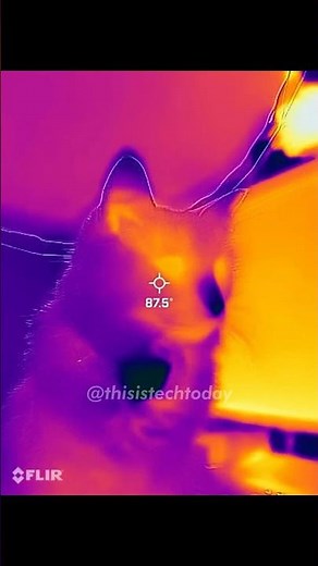 Unboxing a Thermal Camera! FLIR One Edge Pro