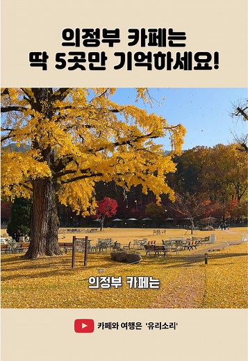 🌳의정부 카페는 이 5곳만 기억하세요🌳 #카페 #여행 #의정부 #korea #coffee