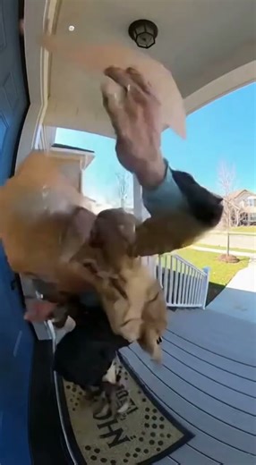 BURGER EXPLOSION ON FRONT PORCH! #mustwatch #funny #trending