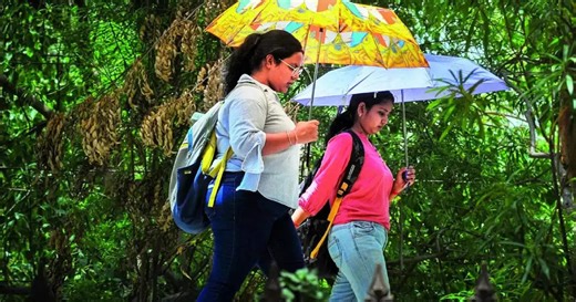 അതിശക്തമായ മഴ വരുന്നു; ഇന്ന് അഞ്ച് ജില്ലകളിൽ യെല്ലോ അലേർട്ട്