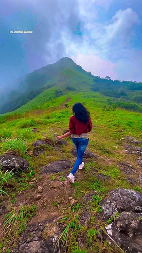 Deepak Saran // The Cravings Mania… on Instagram: "Tree house stay🐘 package at Rs 1500. Contact @_planet_life .+91 81221 09000. Location : Idukki📍. Package details: •Tree house with villa • Attached bathroom • Common kitchen BH • Wifi • Farm tour • Waterfall and natural pool (Seasonal).# Jeep safari with trekking. Other Details • We welcome couples, families and groups • Check in : 2 pm / Check out: 11 am • Flexible check in/ check out available depending on the day • Parking wil