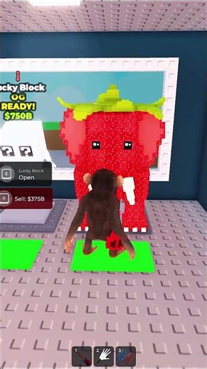 I FOUND Secret Kiwi 😱 Crazy LUCKY BLOCK #stealabrainrot #roblox