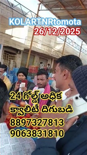 Kolar tomota prices #farming #trendingshorts #tsfarmers #automobile #tomato #tamil #tomata #farmer