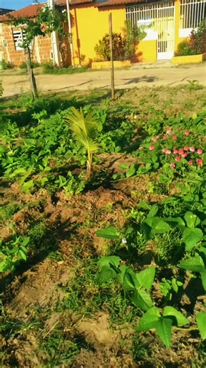 Deus abençoe e cuida dos meus filhos em nome de jesus #tiktokcriador #
