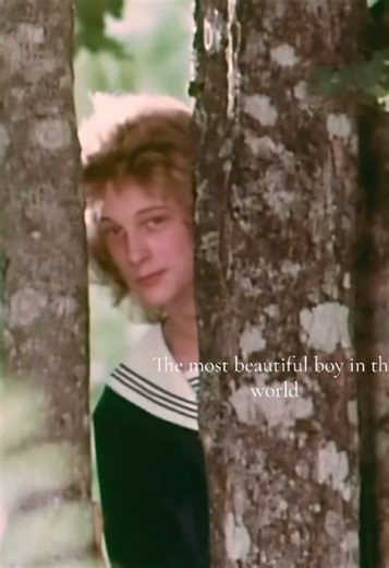 The Most Beautiful Boy in the World: Björn Andrésen