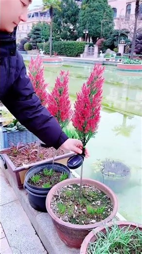 Best Solar Pine Tree Lantern Lights | 7-Color Outdoor Decoration