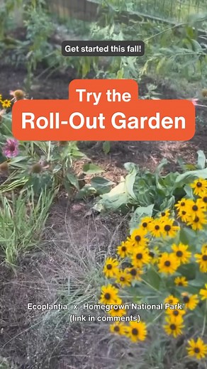 7.5K views · 105 reactions | The Keystone Roll-Out Garden™ is a new...