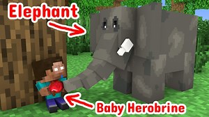 37K views · 872 reactions | Baby Herobrine Life! - Minecraft animation #minecraft #minecraftmemes #minecraftvideos #minecrafte #minecraftbuild #minecraftclips #gaming #reels #twitch #tiktok | Baby Monster School | Facebook