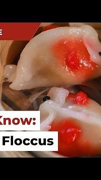 Get To Know: Floccus Floccus