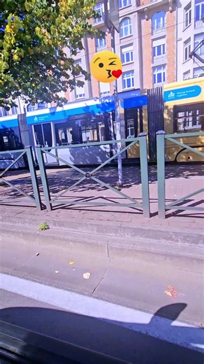 Alger 16@. be sur TikTok