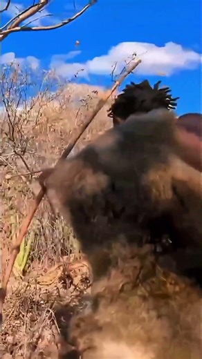 Rare Wetland Bird Moment: Swamphen Spotted in the Wild | Nature Observation Documentary