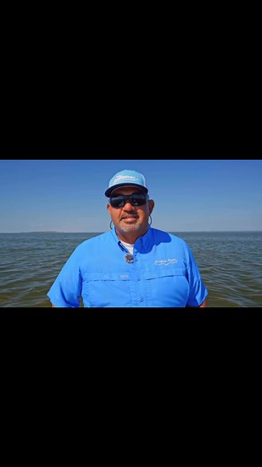 5.3K views · 99 reactions | The Sportsman on Reels | Facebook