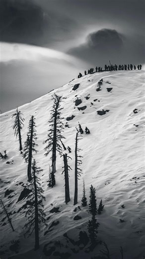 Tahoe Freeride / TJFS on Instagram: "Jr 3* weekend at Palisades Tahoe went off. It was a big lift, with steady movement across 3 venues in 3 days, immediately coming out of the STOMPTOWN 3* Qualifier, but it was worth the efforts, utilizing great venues to show off the amazing riding. Skiers and boarders did a hardpack throwdown, applying solid tech to North Bowl, Olympic Lady and Cornice II Bowl for a high-flying Freeride competition. Thank you to all who helped make it happen: the parents, coa