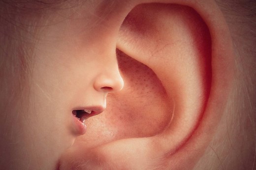 Auditory Pareidolia: The Voices in Your Head Have a Rational Explanation
