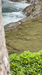 70K views · 440 reactions | Nothing beats a weekend camping trip in nature to relax and recharge. Listening to the gentle rustling of leaves, and breathing in the fresh air, just pure bliss. Who else loves disconnecting from the hustle and bustle of everyday life and reconnecting with Mother Nature? | The Island Nature Spring | Facebook