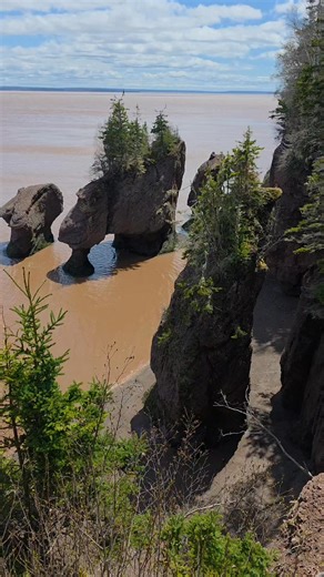 The Hopewell Rocks also known as the Flowerpot Rocks locates in Hopewell Cape, New Brunswick, Canada. #canada #tourism #explore #hopewell #flowerpotrocks #bucketlist | The Downeast Cowboy