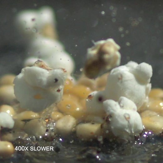 99K views · 769 shares | See how a humble corn kernel turns itself into scrumptious pop corn with a little help from heat and oil. Gav and Dan film the process in super slow motion. | The Slow Mo Guys | Facebook