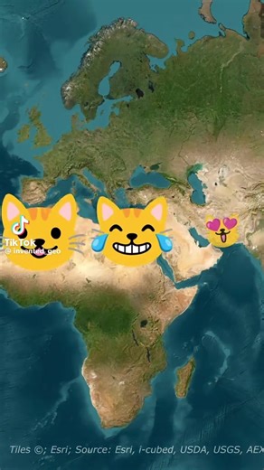 Angie Gonzalez (@msangiegonzalez)’s videos with original sound - Angie Gonzalez