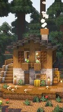 Spruce Starter House🏡