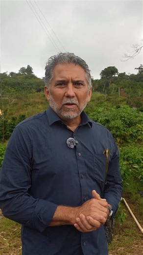 Gustos también nació para apoyar. Para crear un espacio que sostuviera a nuestra gente, al café local y a quienes lo hacen posible. Después de María, reconstruir fue un acto colectivo, y seguimos aquí gracias a esa comunidad 🤍 #GustosCoffee #PuertoRicanCoffee #CoffeeCommunity #FromTheIsland #CoffeeCulture | Gustos Coffee Co.