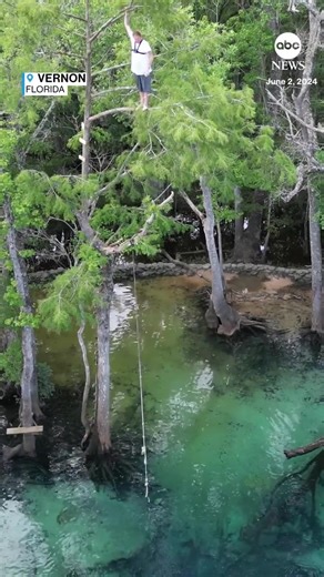 141K views · 986 reactions | A man who fell from what he described as a 60-foot-tall tree into a creek in Vernon, Florida, emerged from the fall with just minor injuries. >> https://www.wsbtv.com/news/trending/ | WSB-TV | Facebook