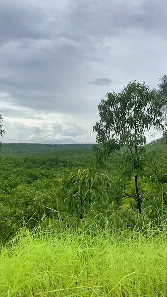 Jabiru via the Kakadu highway is gorgeous during the wet season #kakadunationalpark #kakadu #jabiru #wetseason #flooded #tropical #aok #northernterritorylife #northernterritory #gonecountry #roadtripping #crocodilehotel #lookout #drives #4x4