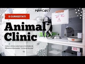 INIMA SALVARII ANIMALELOR - Urme de Bucurie | Pawcast din Centrul de Rescue al Animalelor