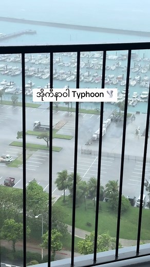 Okinawa Typhoon: Live Update and Storm Footage