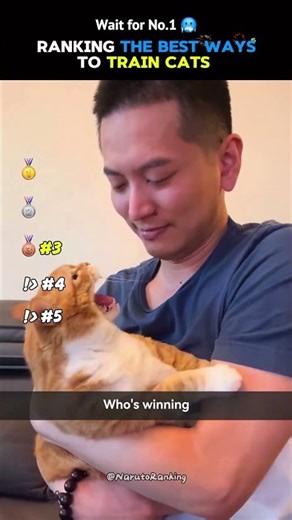 Ranking stubborn Cats Training Methods (What Actually Works?)
