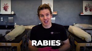 How rabies became one of the most lethal viruses