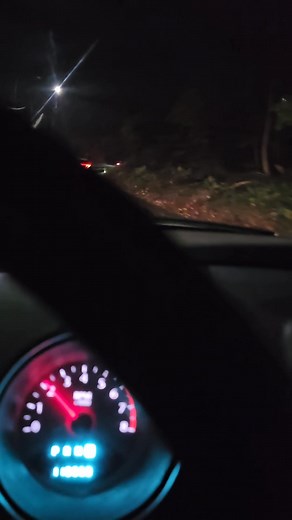 Cops on Carlisle Hill earlier | Richie Brown