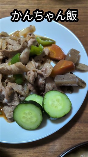 Yakiniku-style stir-fry, braised burdock root, carrots, and konjac, homemade cucumber, komatsuna ...