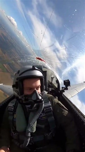 Direct Head-On Impact | #aviation #bird #birdingparadise #birdspecies #dcsworld #largebird #military