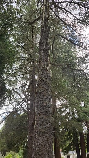 Our bee management takes us places lol | Kimberly Creager