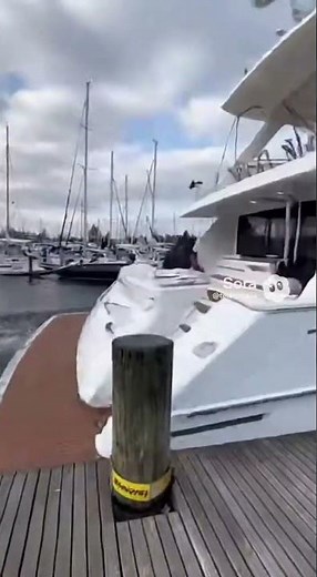 Luxury Yacht Captain Completely Loses Control While Docking 😳