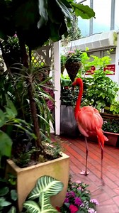 2.5M views · 112K reactions | Time to update the ol' bucket list! : Key West Butterfly & Nature Conservatory #KeyWest #FlamingoFriday #VisitKeyWest | Greater Key West Chamber of Commerce | Facebook