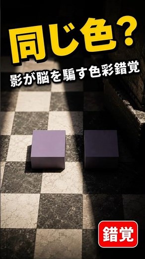 100% the same color can look different! The truth behind color illusions that fool 98% of people.