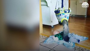 591K views · 7.5K reactions | WATCH: Best friends fur-ever! | Today Show | Facebook