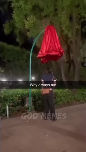 Why Always Me Meme Explained