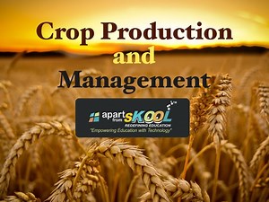 Crop Production And Management
