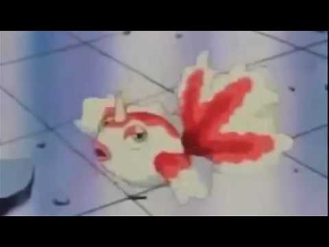 Goldeen 2 minute Version