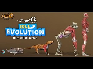 Idle Evolution - Cell to Human - Gameplay IOS & Android
